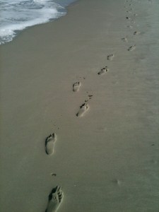 IMG_0611 On the Beach